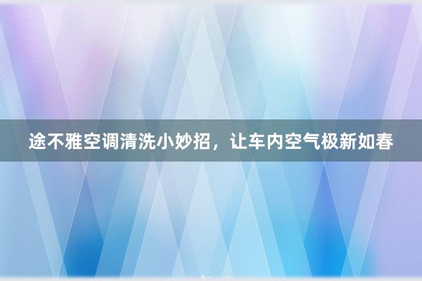 途不雅空调清洗小妙招，让车内空气极新如春