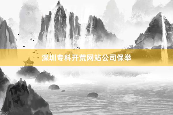 深圳专科开荒网站公司保举