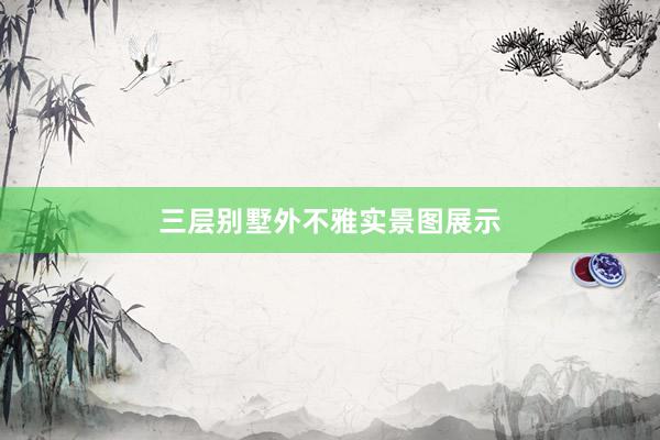 三层别墅外不雅实景图展示